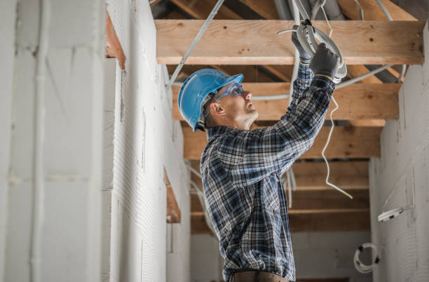 Best Electrical Troubleshooting Services  in Camn, DE