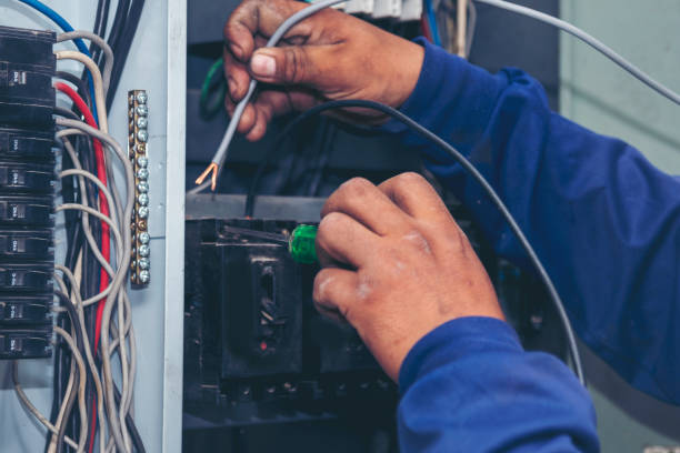 Best Ceiling Fan Installation Electrician  in Camn, DE