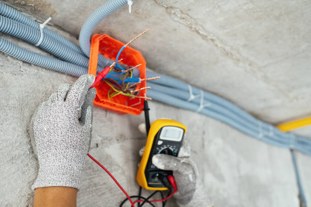 Best Ceiling Fan Installation Electrician  in Camn, DE